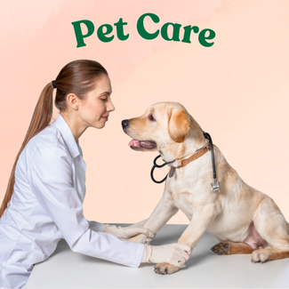 Pet Care