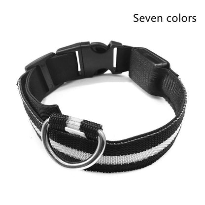 USB Rechargeable LED Pet Collar – Keep Your Pet Safe and Stylish at Night!