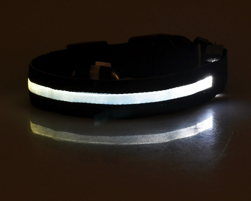 USB Rechargeable LED Pet Collar – Keep Your Pet Safe and Stylish at Night!