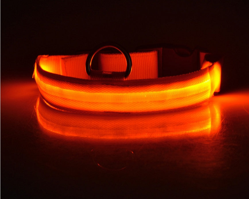 USB Rechargeable LED Pet Collar – Keep Your Pet Safe and Stylish at Night!