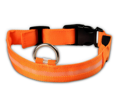 USB Rechargeable LED Pet Collar – Keep Your Pet Safe and Stylish at Night!