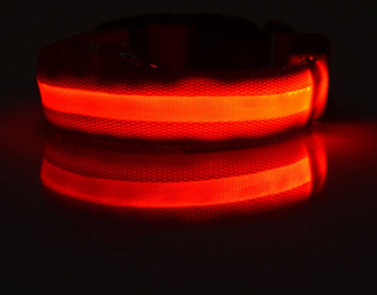 USB Rechargeable LED Pet Collar – Keep Your Pet Safe and Stylish at Night!