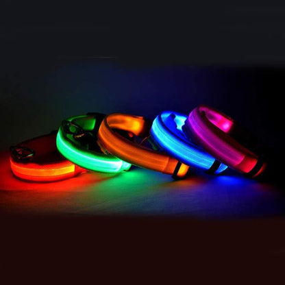 USB Rechargeable LED Pet Collar – Keep Your Pet Safe and Stylish at Night!