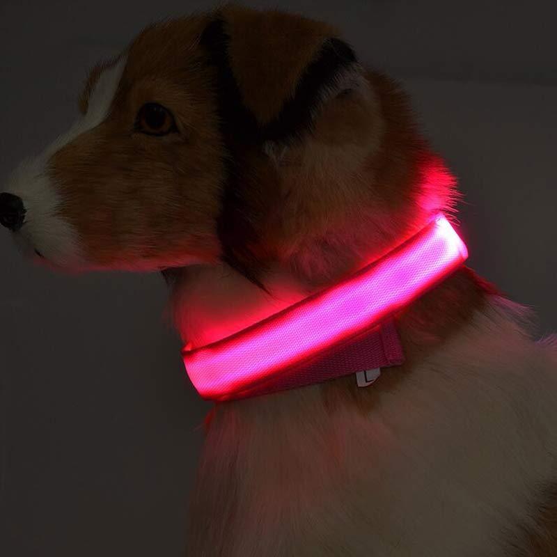 USB Rechargeable LED Pet Collar – Keep Your Pet Safe and Stylish at Night!