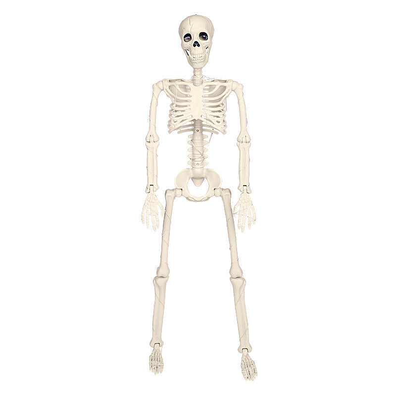 Glow-in-the-Dark Stand-able Hanging Skeleton – The Ultimate 90cm Halloween Décor with Warm Lights